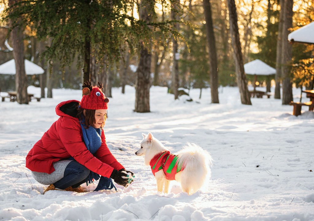 zabawki-dla-psow 2a_2